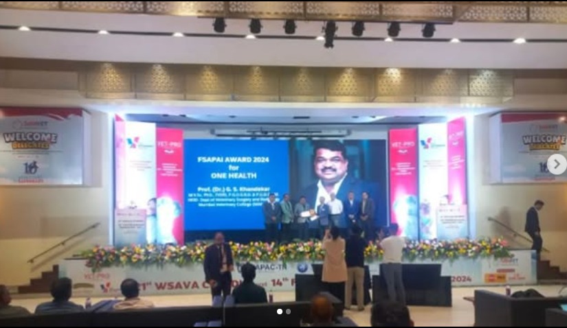 FSAPAI Award